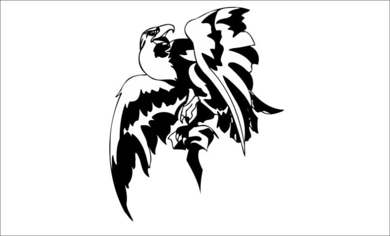producto aguila iolair