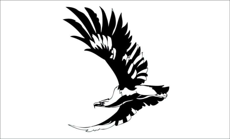 producto aguila orol