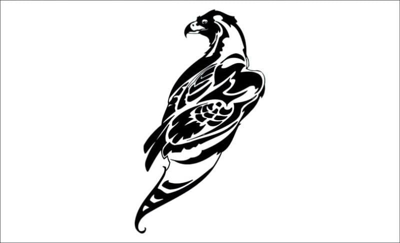 producto aguila aigle
