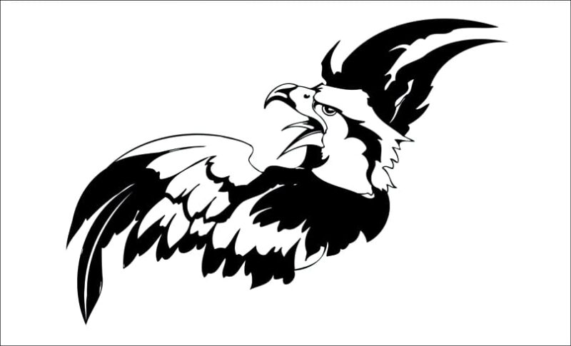 producto aguila eryr