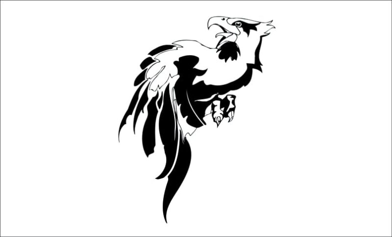 producto aguila mupui