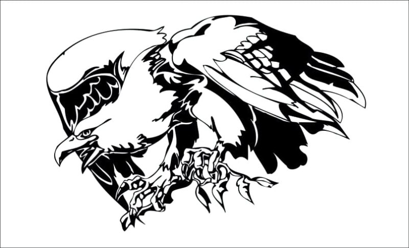 producto aguila orzeł