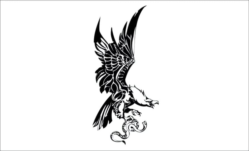 producto aguila vultur