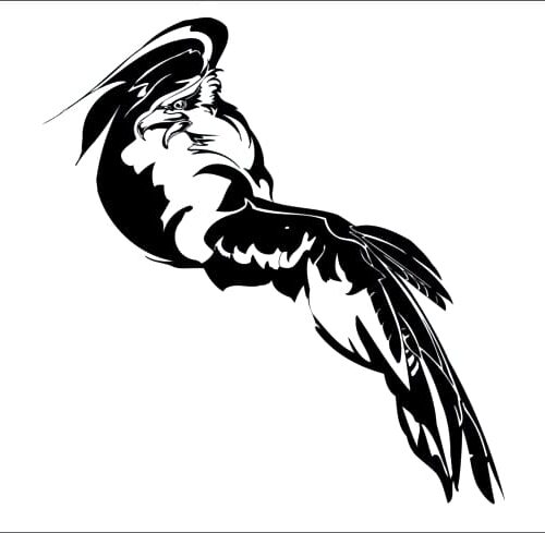 producto aguila gondo