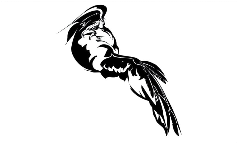 producto aguila gondo